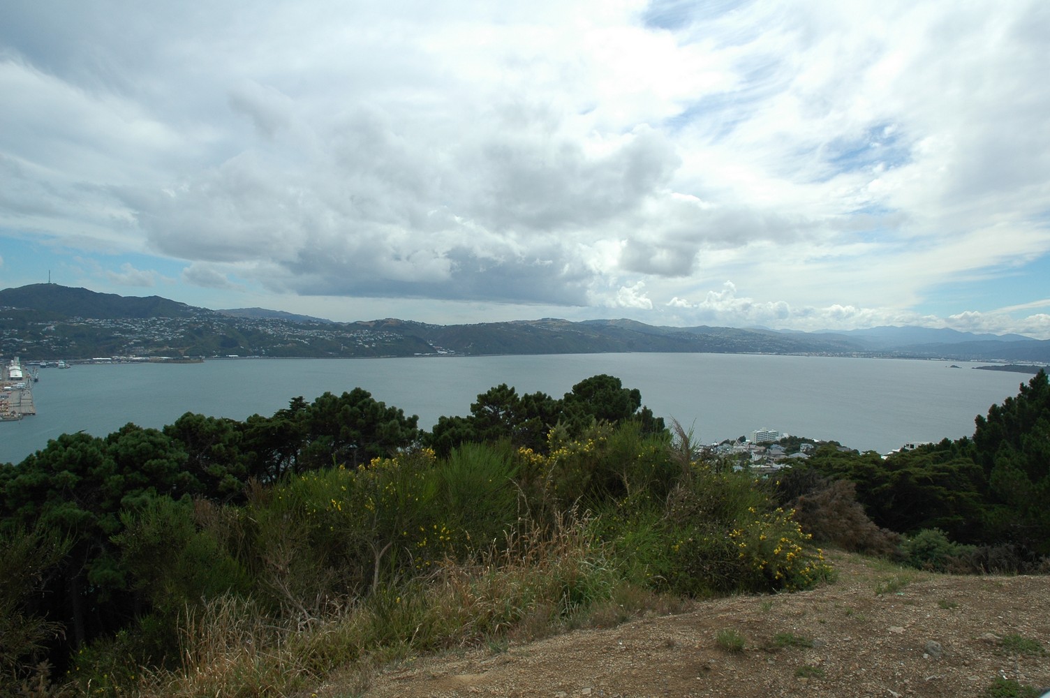 529   09 02   Wellington laatste dag